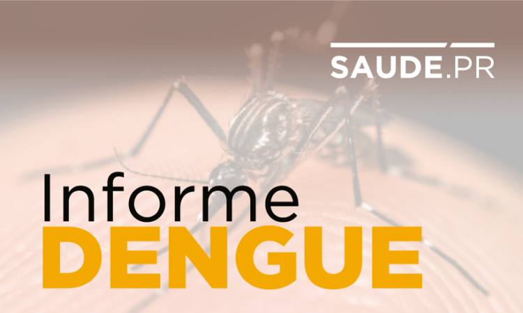 Casos de dengue aumentam para 128 mil no Paraná