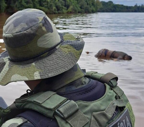 Polícia Ambiental localiza corpo de homem no Rio Piquiri