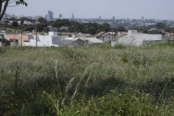 Em Umuarama, mais 7.700 proprietários de terrenos sujos são notificados